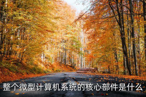 整個微型計算機系統(tǒng)的核心部件是什么