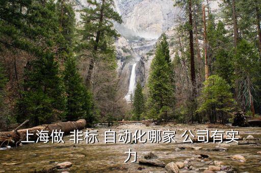 上海做 非標 自動化哪家 公司有實力