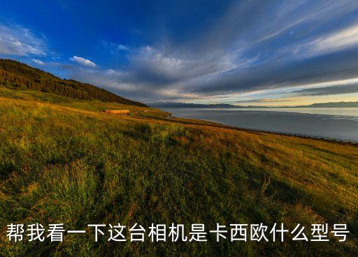 幫我看一下這臺(tái)相機(jī)是卡西歐什么型號(hào)