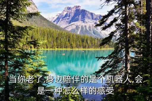 當(dāng)你老了,身邊陪伴的是個(gè)機(jī)器人,會(huì)是一種怎么樣的感受