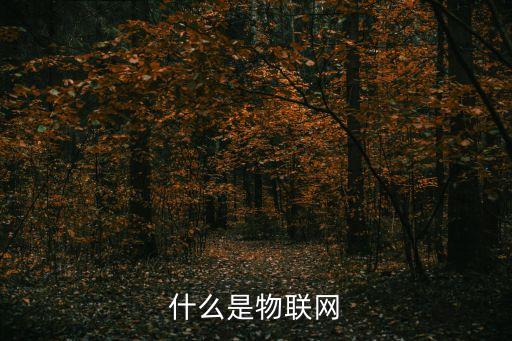 物聯(lián)網(wǎng)概念，物聯(lián)網(wǎng)是什么