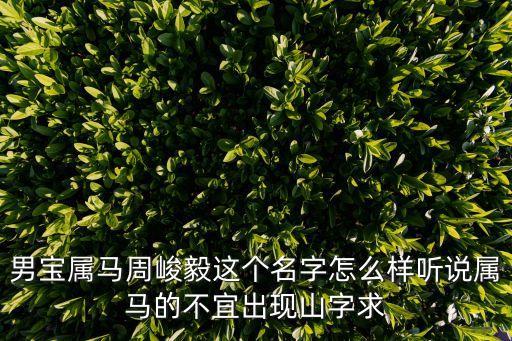 男寶屬馬周峻毅這個名字怎么樣聽說屬馬的不宜出現(xiàn)山字求