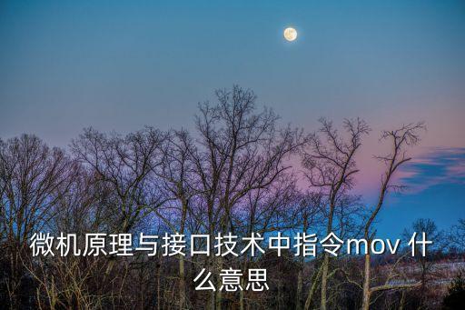 微機(jī)原理與接口技術(shù)中指令mov 什么意思