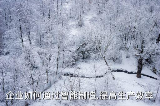 企業(yè)如何通過智能制造,提高生產(chǎn)效率