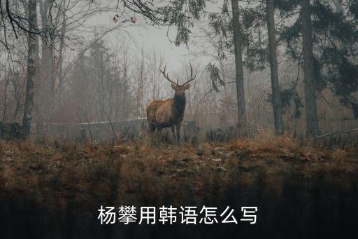 楊攀，楊攀用韓語怎么寫