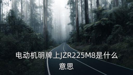 電動機(jī)明牌上JZR225M8是什么意思