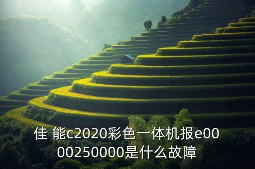 佳 能c2020彩色一體機(jī)報(bào)e0000250000是什么故障