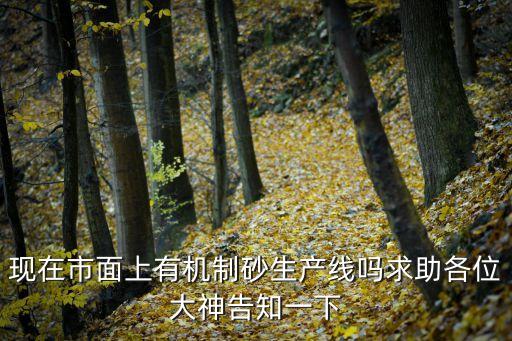 湖北 自動(dòng)化輸送設(shè)備,自動(dòng)化物流倉(cāng)儲(chǔ)輸送設(shè)備