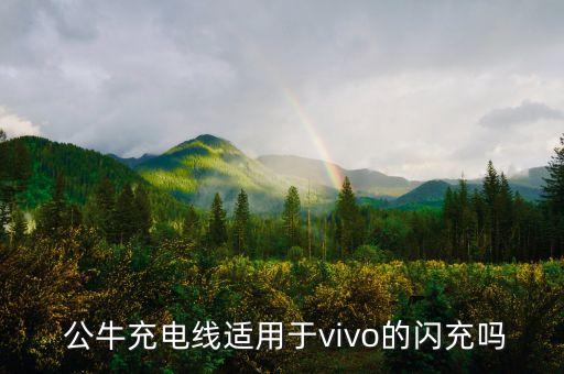  公牛充電線適用于vivo的閃充嗎