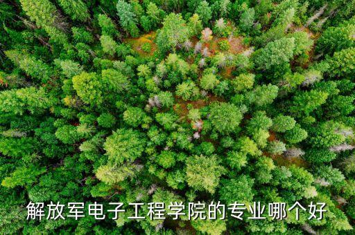 解放軍電子工程學(xué)院的專業(yè)哪個(gè)好