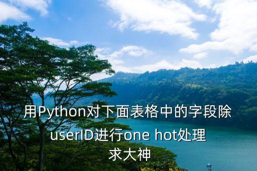 用Python對(duì)下面表格中的字段除userID進(jìn)行one hot處理 求大神