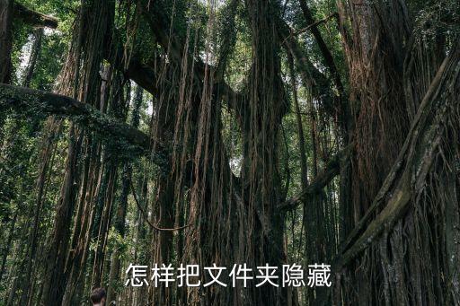 文件夾怎么隱藏，怎樣把文件夾隱藏
