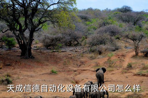 天成信德自動化設(shè)備有限公司怎么樣