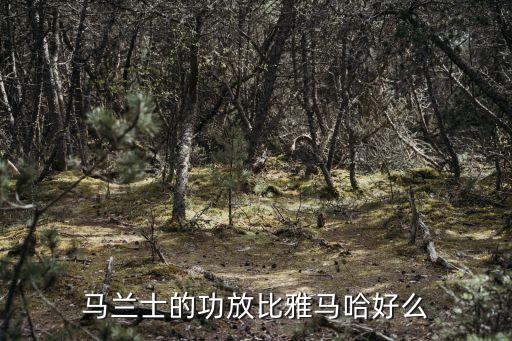 馬蘭士功放機(jī)，馬蘭士功放是哪個國家的