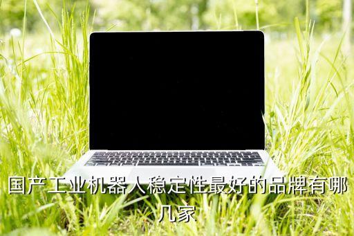 鎮(zhèn)江自動化機(jī)器人公司排名,特種機(jī)器人公司排名前六排名第一