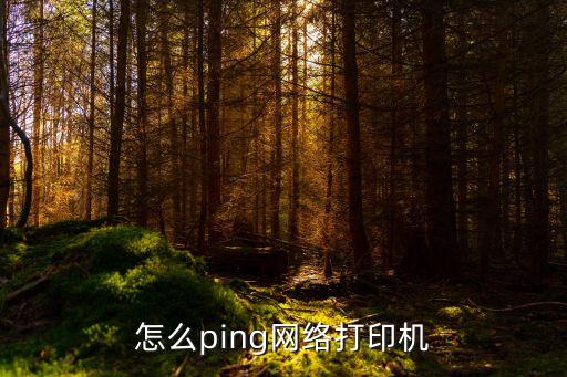 網(wǎng)絡(luò)打印服務(wù)器，怎么ping網(wǎng)絡(luò)打印機(jī)