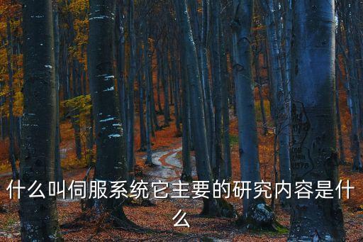 伺服系統(tǒng)，什么是伺服系統(tǒng)伺服電機(jī)