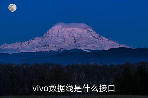數(shù)據(jù)線插頭用哪個(gè),未來數(shù)據(jù)線或取代所有插頭成統(tǒng)一標(biāo)準(zhǔn)