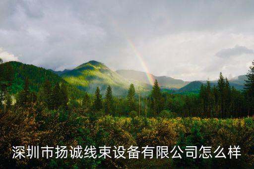 深圳市揚(yáng)誠線束設(shè)備有限公司怎么樣