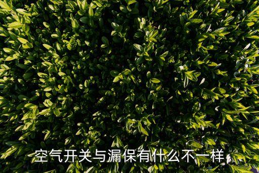 空氣開關(guān)與漏保有什么不一樣