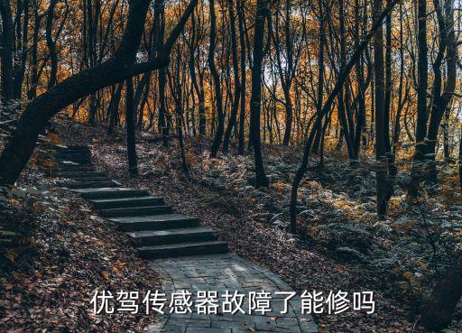  優(yōu)駕傳感器故障了能修嗎