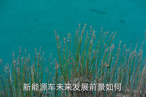 新能源車未來發(fā)展前景如何