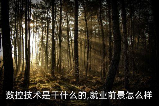 貴州數(shù)控自動化設備價格,學自動化找工作難不難