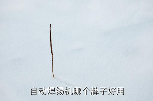 電池焊錫機(jī)自動(dòng)化設(shè)備,自動(dòng)焊錫機(jī)多少錢一臺(tái)?