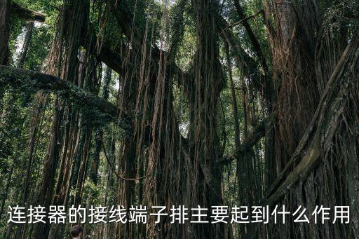 連接器的接線端子排主要起到什么作用
