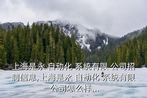 自動(dòng)化系統(tǒng)公司在哪里