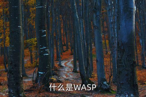 什么是WASP