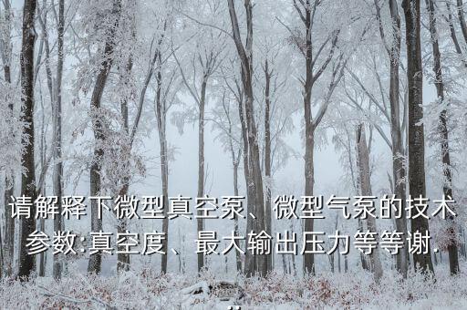 請(qǐng)解釋下微型真空泵、微型氣泵的技術(shù)參數(shù):真空度、最大輸出壓力等等謝...