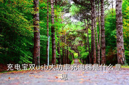 大功率充電器，大輸出功率的充電器即所謂的快充會影響電池壽命嗎