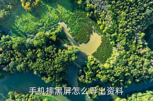 手機(jī)屏幕不亮導(dǎo)出數(shù)據(jù),手機(jī)黑屏怎么導(dǎo)出數(shù)據(jù)?方法如下
