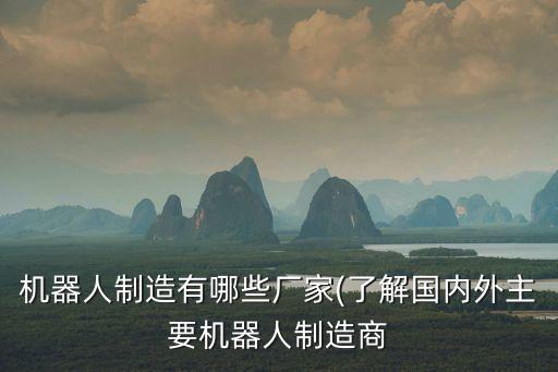 機器人制造有哪些廠家(了解國內(nèi)外主要機器人制造商