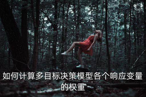 如何計算多目標決策模型各個響應(yīng)變量的權(quán)重