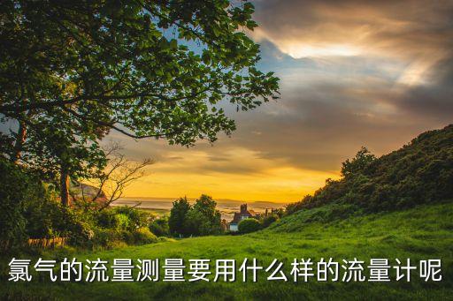 氯氣流量計(jì)，誰知道氯氣用哪種流量計(jì)測(cè)比較安全