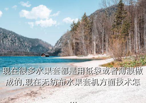 現(xiàn)在很多水果套都是用紙袋或者薄膜做成的,現(xiàn)在無(wú)紡布水果套機(jī)方面技術(shù)怎...