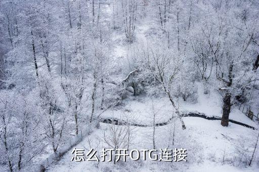 手機(jī)otg功能，手機(jī)oug是什么
