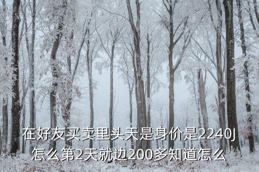 羅桂平，在好友買賣里頭天是身價是2240J怎么第2天就邊200多知道怎么