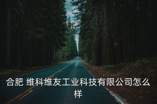 合肥 維科維友工業(yè)科技有限公司怎么樣