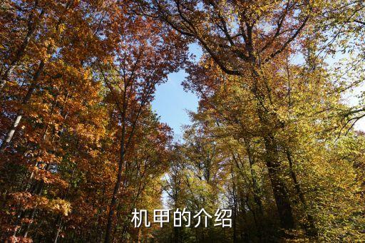中國(guó)戰(zhàn)爭(zhēng)機(jī)器人,戰(zhàn)斗機(jī)器人怎么寫(xiě)作文和怎么畫(huà)