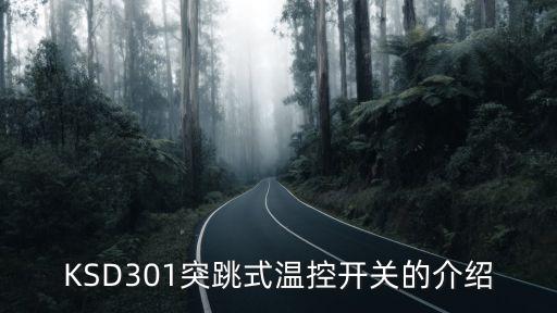 KSD301突跳式溫控開關(guān)的介紹
