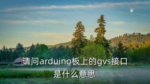 gvs，我的手機(jī)內(nèi)存上有GVS的文件是干嘛用的