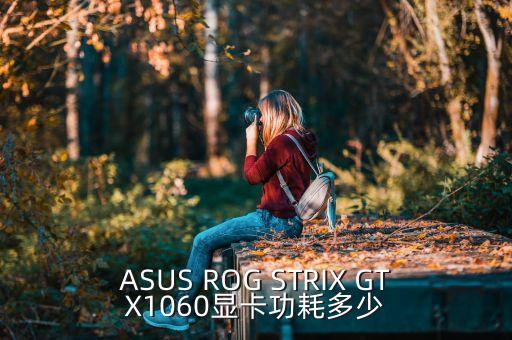 ASUS ROG STRIX GTX1060顯卡功耗多少