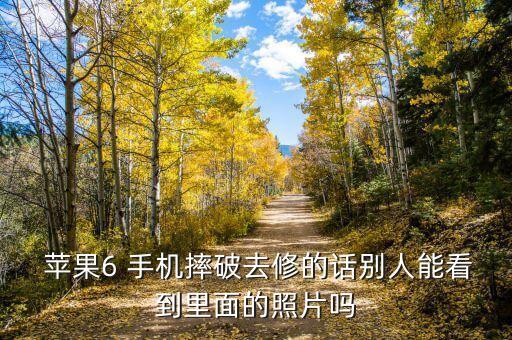 蘋果6手機壞了數(shù)據(jù)導(dǎo)出,蘋果手機數(shù)據(jù)導(dǎo)出到電腦用什么軟件