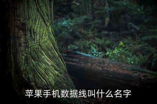 蘋果手機數(shù)據(jù)線叫什么名字