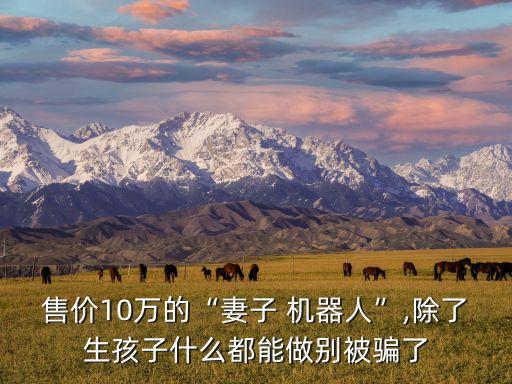 售價10萬的“妻子 機器人”,除了生孩子什么都能做別被騙了