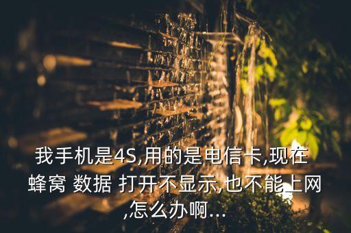 4s蜂窩數(shù)據(jù)打開沒有,iphone蜂窩數(shù)據(jù)打開連不上網(wǎng)