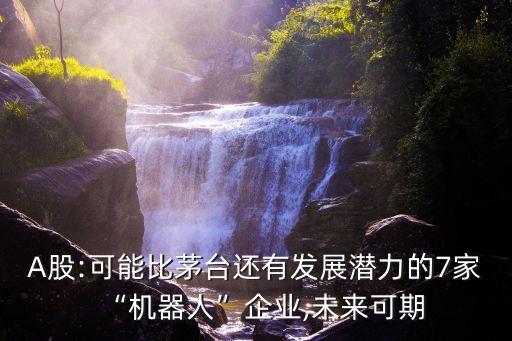 A股:可能比茅臺(tái)還有發(fā)展?jié)摿Φ?家“機(jī)器人”企業(yè),未來(lái)可期